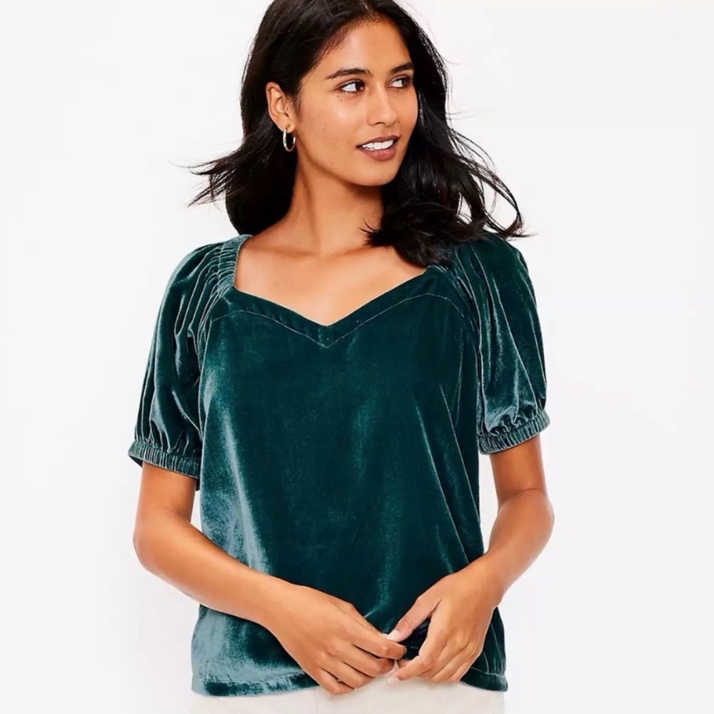 LOFT Elegant Green Blue Velvet Blouse